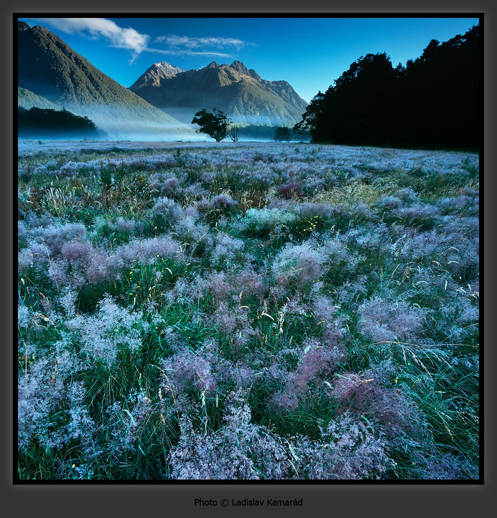 Brilliantovui doc 1160677467 i 9251 full